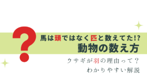 動物の数え方・匹と頭、ウサギが羽の理由って？
