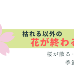 桜散る…花が枯れる以外の表現いくつ知ってる？