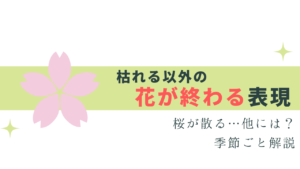 桜散る…花が枯れる以外の表現いくつ知ってる？